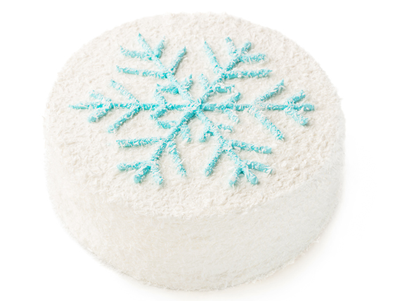 Snowflake - 1 Photo