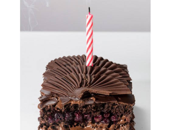 Velvet Blackcurrant - 4 Photo